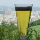 중국 심천 피닉스힐(봉황산) 골프클럽 라운드 후기_B코스