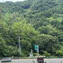 6월 | 알레(Alle)버스 충북 제천 옥순동-구담봉-제비봉 등산 후기! :: 6월 등산