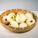 서강농장 이미지