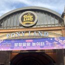 궁말로 | 2026렛츠런 파크 무료입장 마시멜로 벚꽃축제 주차 후기