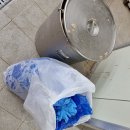 힐더인섹트