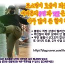 치킨독립군 이미지