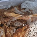 속초회타운 이미지