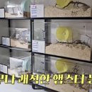 햄스터농장 이미지