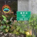 기흥구청입구 사거리 이미지
