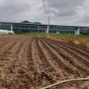 중앙탑면사무소 이미지