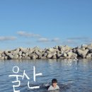 수렴항 화장실 네이버블로그