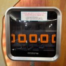 씨씨존 | 추억 속 그 맛 허니브레드 송산동카페 요거프레소 송산점 내돈내산 후기