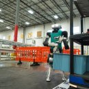 세중인터내셔날 이미지