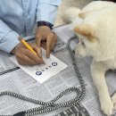 산청동물병원 이미지