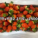 세용 농장 이미지