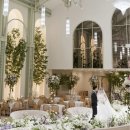 오페라 | [공지] 대전 웨딩홀 투어 팔레드오페라 웨딩홀 식사후기 및 견적공유