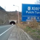 월출관광농원 이미지