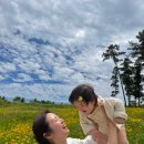 행복베이커리 | 제주 동쪽 감성 가득, 아이와 강아지도 행복한 '우정원베이커리 제주삼나무점' 솔직 후기