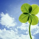 행운이네 이미지