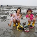 하전농장 이미지