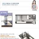 로이 스테이