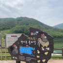 푸르른 농장 이미지