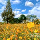 하늘맞이공원 이미지