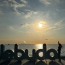 보리카써비스 이미지