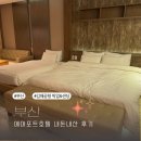 2월 호텔 김해점 | 부산 김해공항 근처 숙소 에어포트호텔 픽업 샌딩 서비스 내돈내산 후기 + 마이리얼트립 2월 할인코드 쿠폰