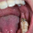 피자스쿨 기장점 | 2025년 12월 일상