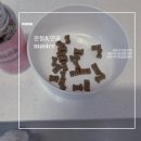 점프마스터 - 제주시 오복4길 24 | 슬개골 탈구 관리 영양제 추천| 막내댕이 관절&연골 마스터 후기
