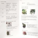 숲속의 초록점