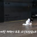 따란