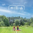 태안나비 | [충남/태안] 2025 제2회 천리포수목원 북 페어 ‘책바슴’