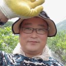 살집