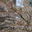 신정로(계남근린공원) | 머리가 나쁘면 몸이 고생 두번한다