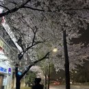 분당-240 | 제주클래식 분당점 방문 후기 (ft.정자 삼겹살 맛집)