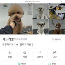 가드기멍 이미지