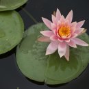 대곡마을 이미지