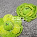 킁킁 | 강아지 장난감추천 :: 바잇미 양배추 킁킁볼 분리불안 해소 노즈워크 내돈내산