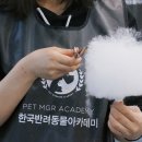 애기강아지반려견전문샵 - 유성구 학하남로47번길 3-24 | 애기강아지반려견전문샵