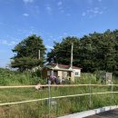 도리도민박 이미지