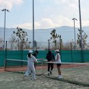 조암 핫 뽑기샵 | 테린이라켓 윌슨 클래시 리버스 내돈내산 실사용후기 부산 테니스샵 구매