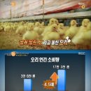 황금오리알 이미지