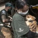 서해안농장 이미지