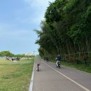 칠암동 공영자전거 무료대여소 | 진주 자전거 대여 진주시공영자전거무료대여소 남강 피크닉