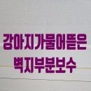 박촌강아지 | 강아지가물어뜯은벽지부분보수