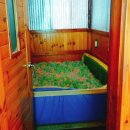 용문산허브찜질방 이미지