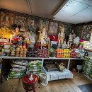 꽃길만 걷게 해줄'개' | 답답했던 내 마음, 꽃길만 걷게 해줄 '이곳'이 궁금하다면?