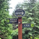 편백숲작은공간 이미지