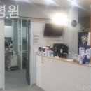 현동물병원 이미지