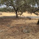 철선농장 이미지