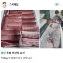 창원 상남동 스시 오마카세 '스시예담' 후기