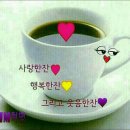 섬수산 이미지